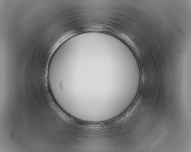 X0000113751378200909230957