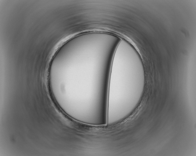 X0000113751379200909230957