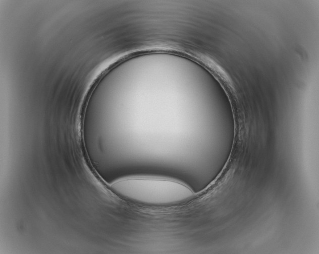 X0000113751380200909230957