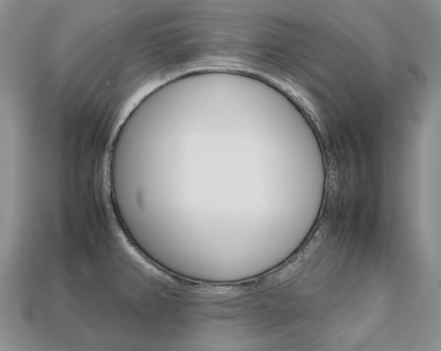 X0000113751382200909230957