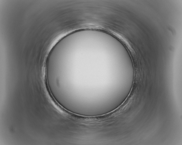 X0000113751383200909230957