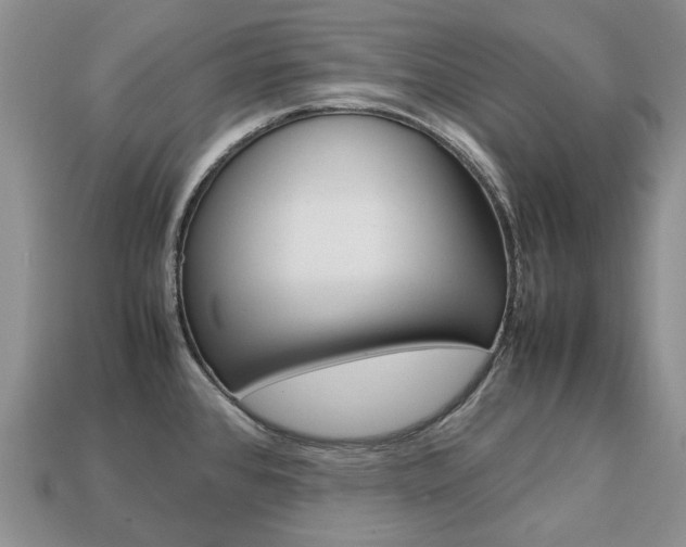 X0000113751384200909230957