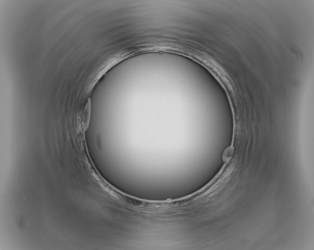X0000113751385200909230957