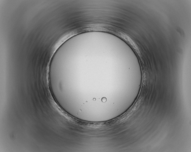 X0000113751386200909230957