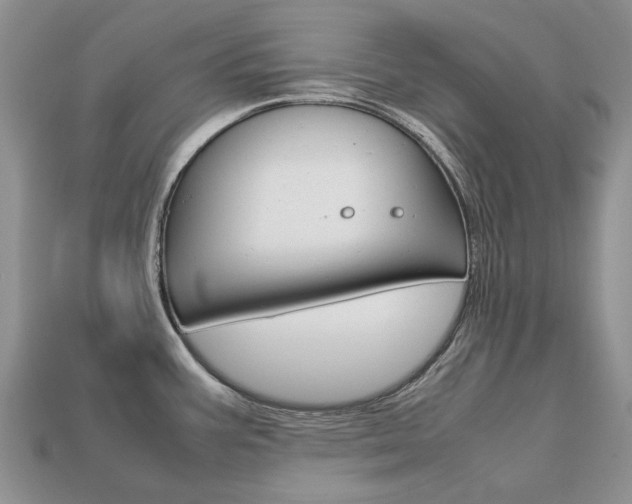 X0000113751387200909230957