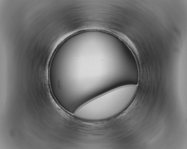 X0000113751388200909230957