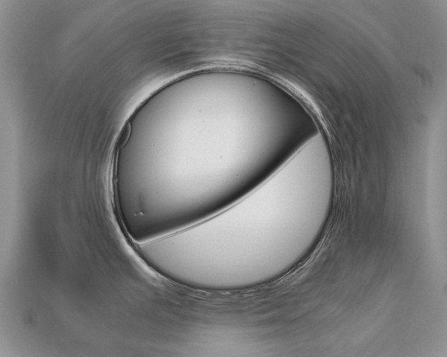 X0000113751391200909230957