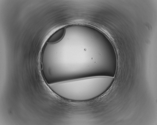 X0000113751392200909230957