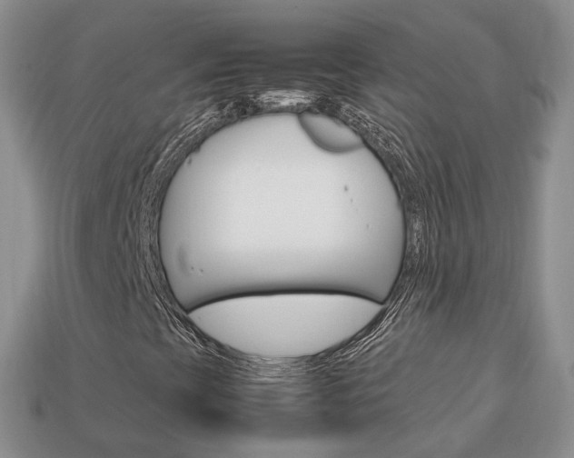 X0000113751393200909230956