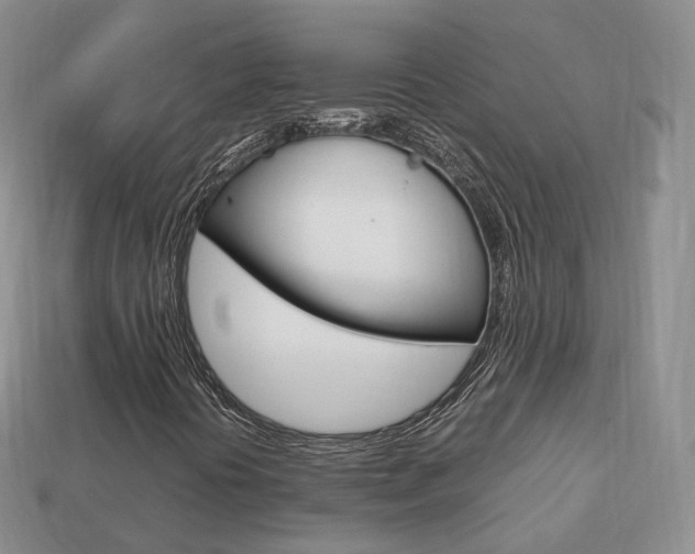 X0000113751394200909230956