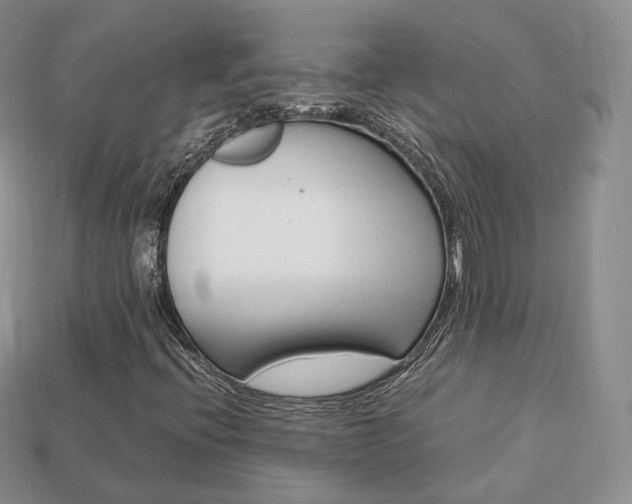 X0000113751396200909230956