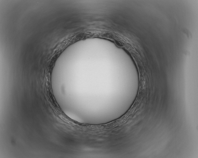 X0000113751397200909230956