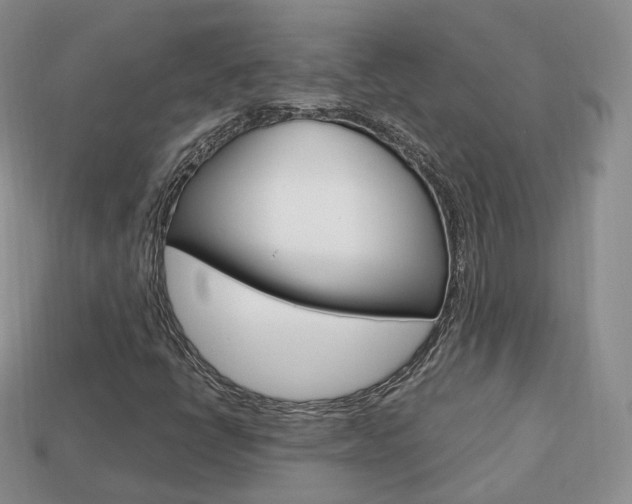 X0000113751398200909230956