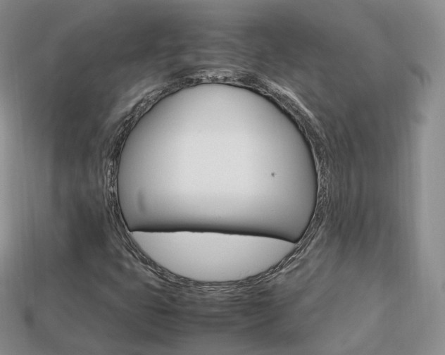 X0000113751399200909230956