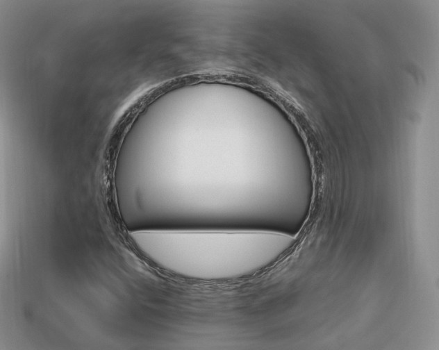 X0000113751400200909230956