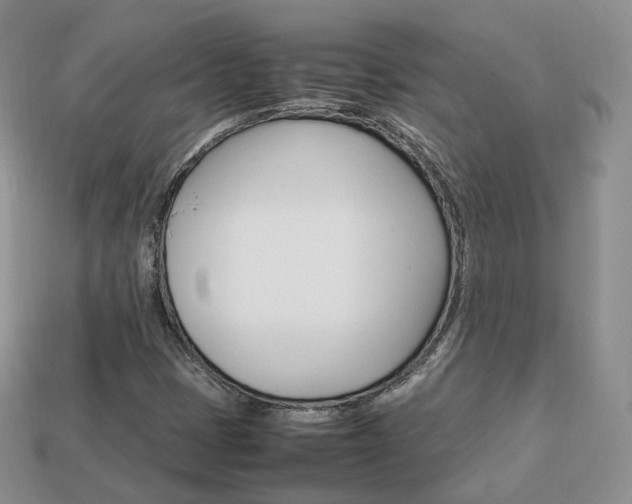 X0000113751401200909230956