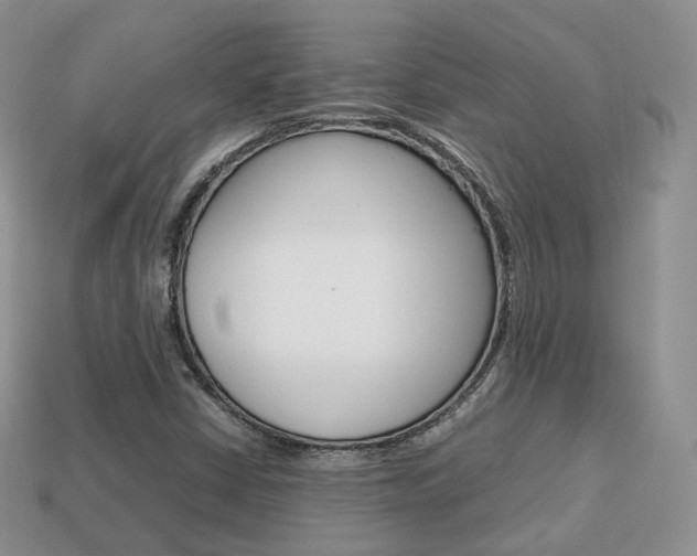 X0000113751402200909230956