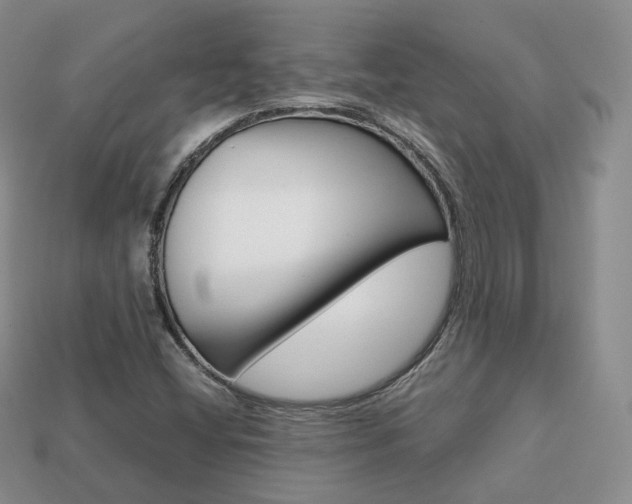 X0000113751404200909230956