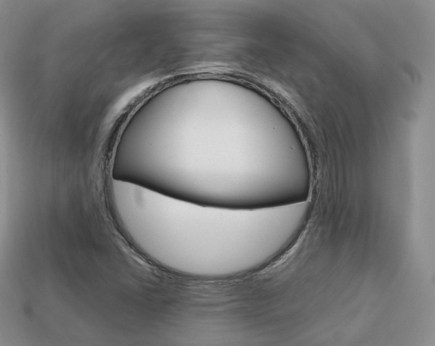 X0000113751406200909230956