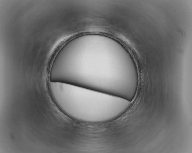 X0000113751408200909230956