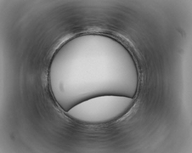 X0000113751409200909230956