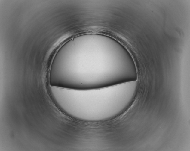 X0000113751410200909230956