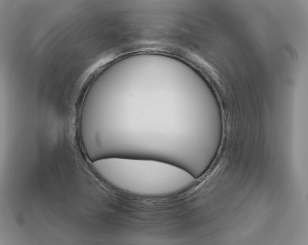X0000113751411200909230956