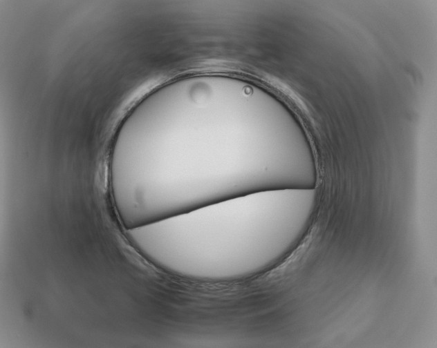 X0000113751413200909230956
