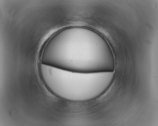 X0000113751414200909230956
