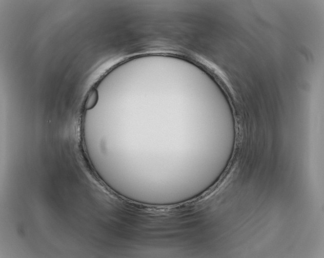 X0000113751415200909230956