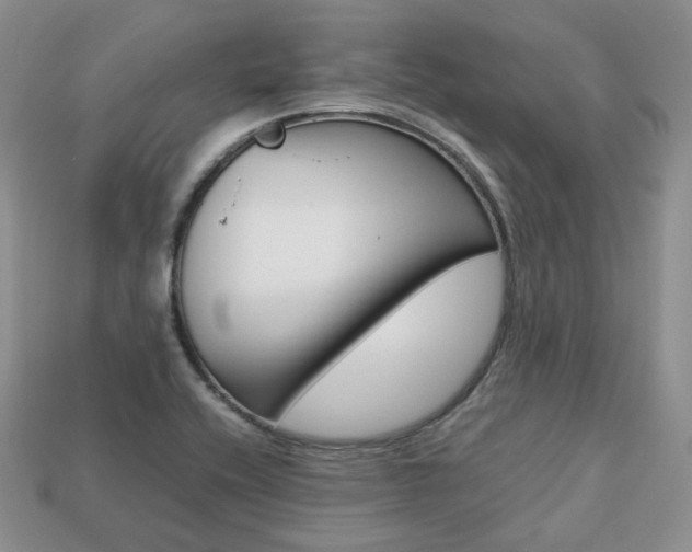 X0000113751416200909230956