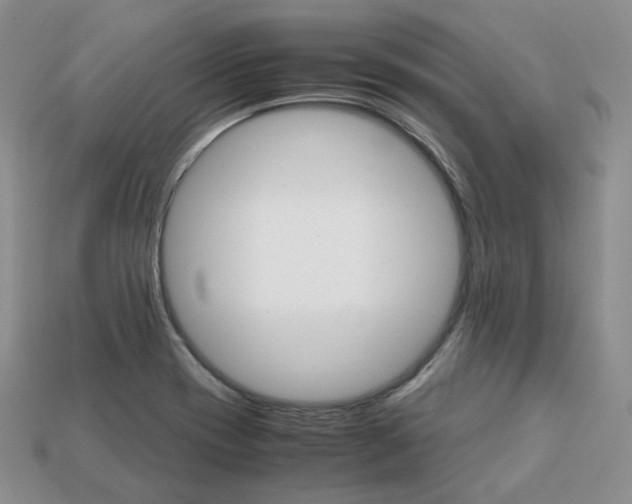 X0000113751417200909230956