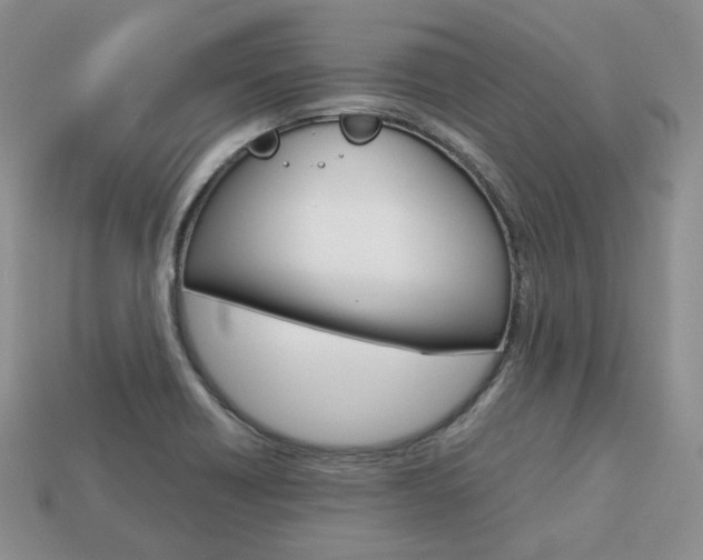 X0000113751418200909230956