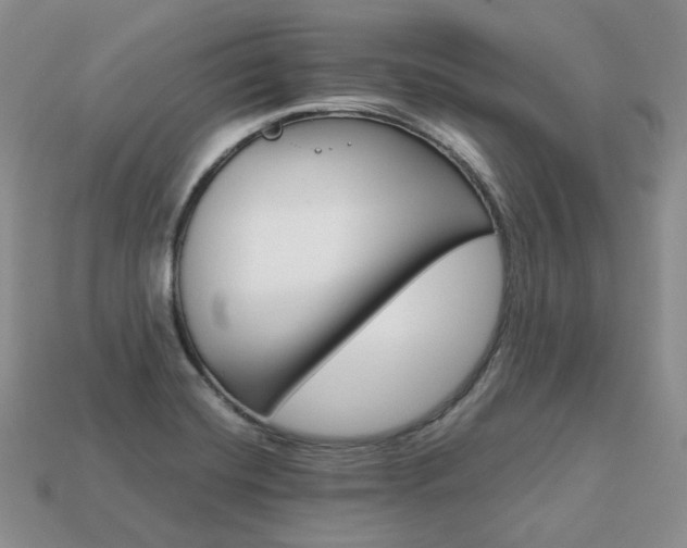 X0000113751420200909230956