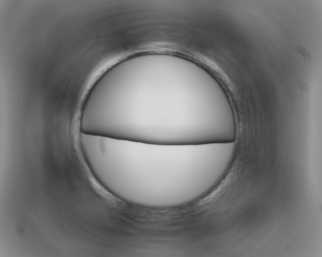 X0000113751421200909230956