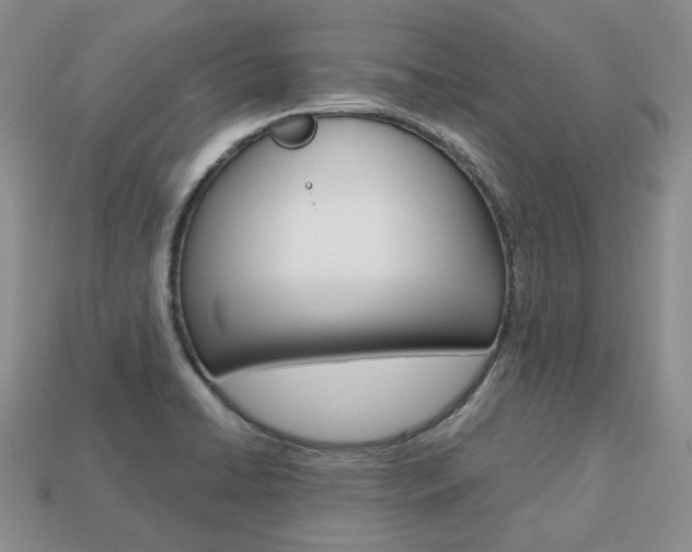 X0000113751422200909230957