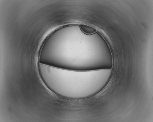 X0000113751424200909230957