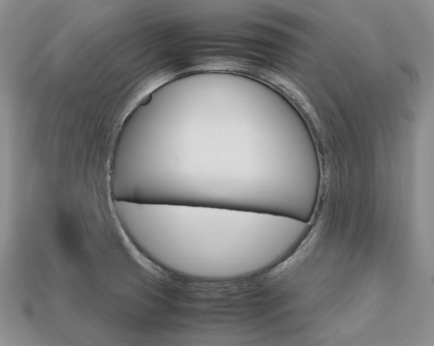 X0000113751425200909230957