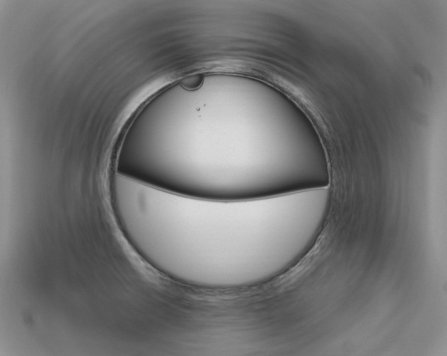 X0000113751426200909230957