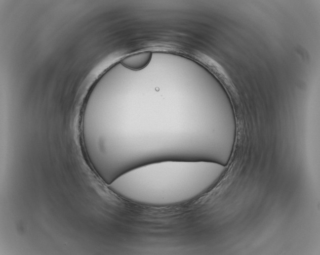 X0000113751427200909230957