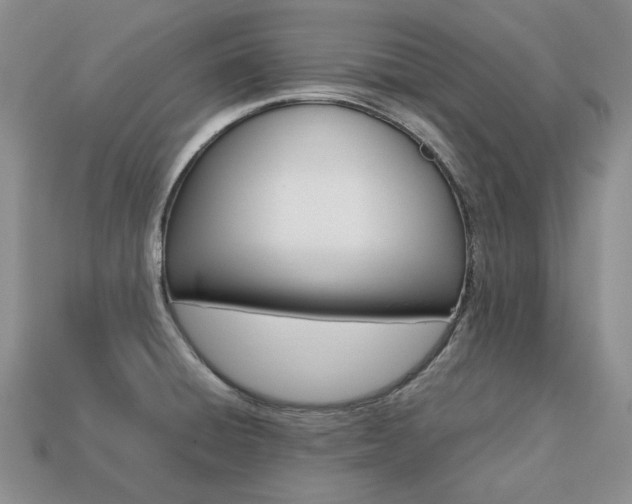 X0000113751428200909230957