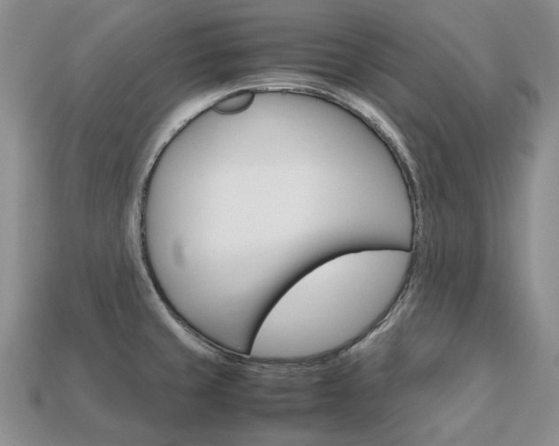 X0000113751429200909230957