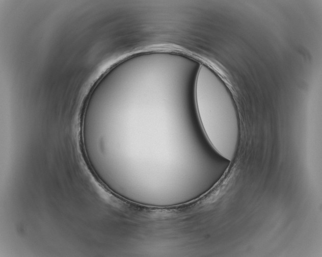 X0000113751430200909230957