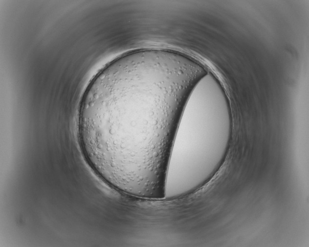 X0000113751432200909230957
