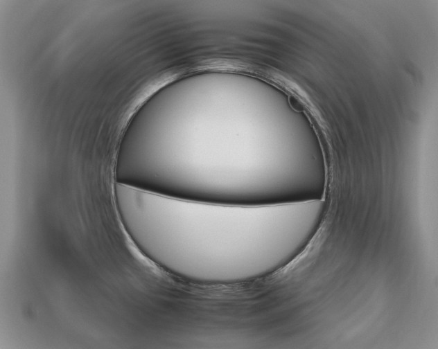 X0000113751433200909230957