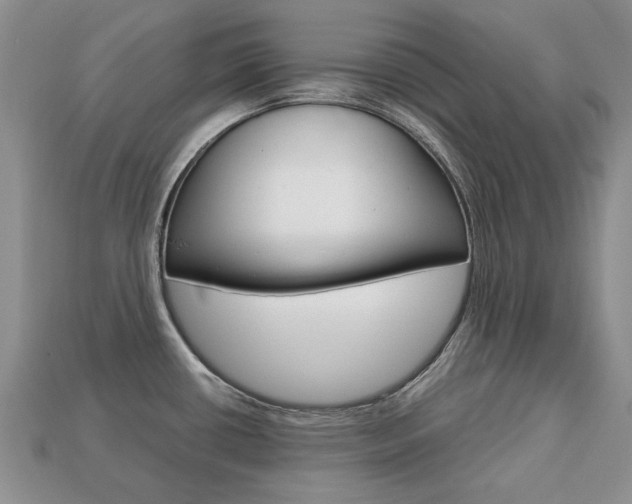 X0000113751434200909230957