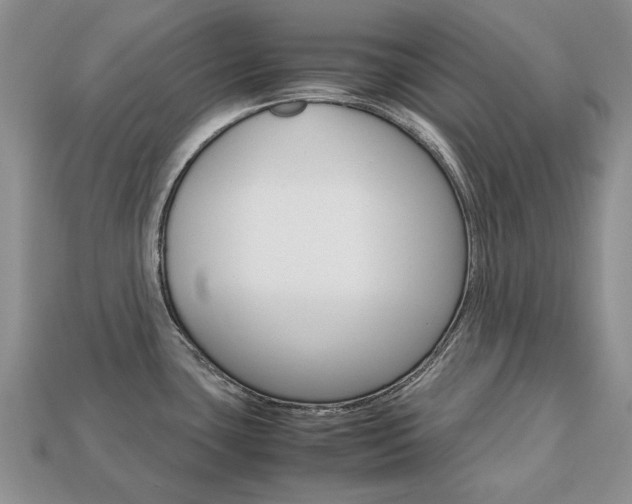 X0000113751435200909230957