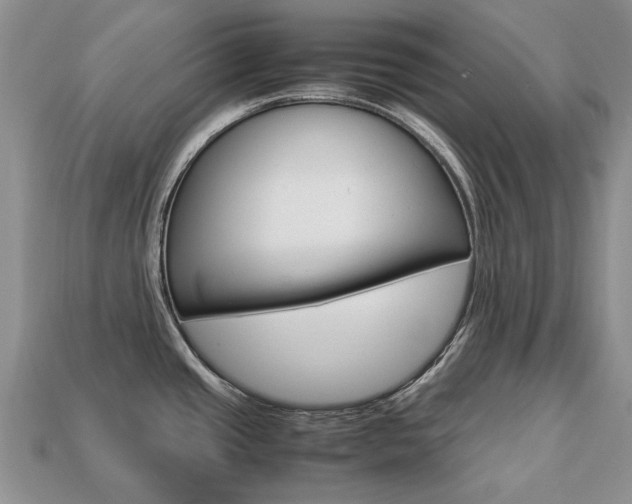 X0000113751437200909230957