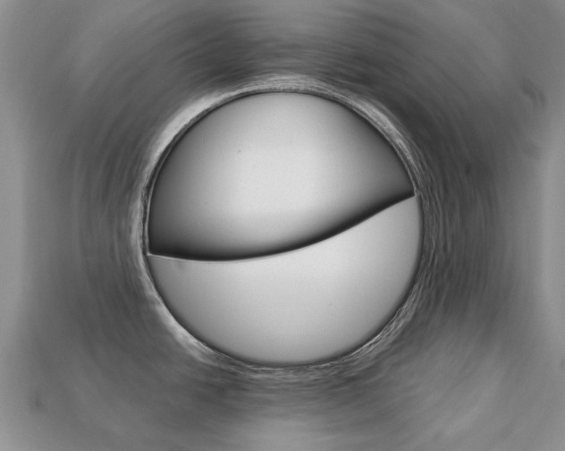 X0000113751438200909230957