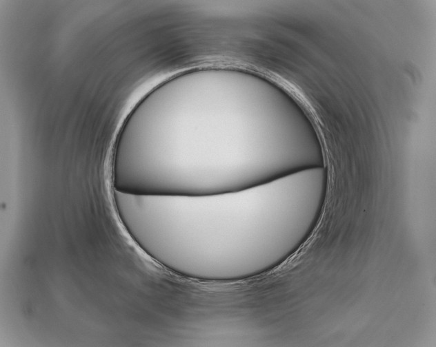 X0000113751440200909230957